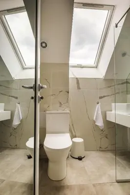 a bathroom with a toilet and a skylight at 