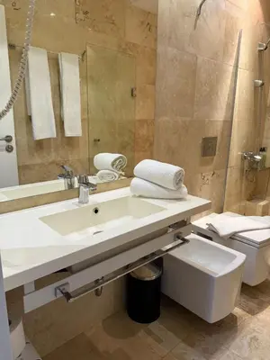 a bathroom with a sink and a toilet and a mirror at Boutique Hotel Kanyon in Sofia