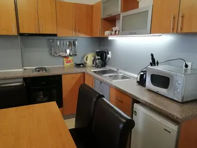a kitchen with a sink and a microwave on a counter at GRAND MONASTERYl Apartment ``Star Paradise`` in Pamporovo
