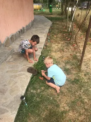 two young boys are playing in the grass at GUEST HOUSE TONI СТАИ за ГОСТИ ТОНИ in Ribarica