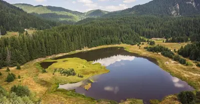 an aerial view of a lake in the middle of a forest at Апартамент Liora in Smolyan