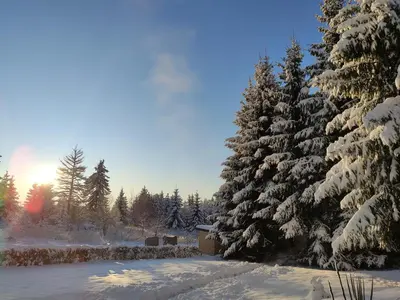a snow covered pine tree with the sun behind it at Приказното място - The Fairytale Place in Smolyan