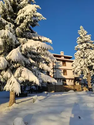 a snow covered tree in front of a building at Приказното място - The Fairytale Place in Smolyan