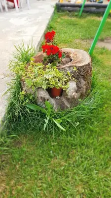 a flower garden with red flowers in a log at Семеен Хотел-