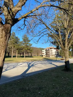 a tree casts a shadow on a road in a park at K's Place Apartment Pravets Golf Resort in Pravets
