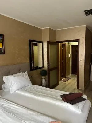 a bedroom with a large white bed in a room at Paradise dreams Velingrad in Velingrad