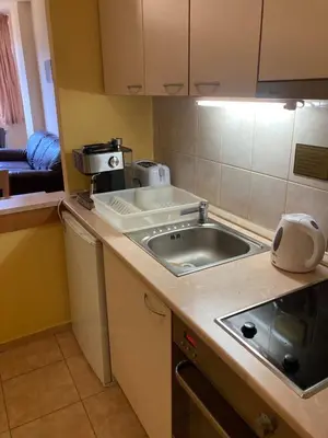 a kitchen with a sink and a counter top at Flora Apartment 613 in Borovets