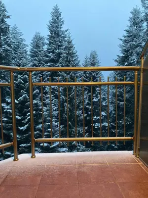 a wooden railing on a porch with snow covered trees at Flora Apartment 613 in Borovets