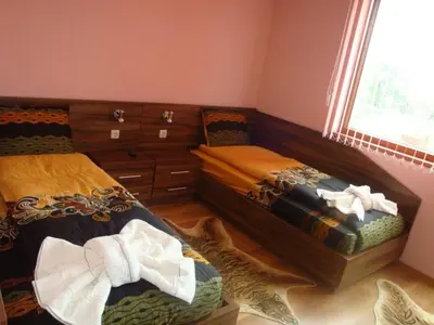 a bedroom with two beds and a cat standing on the floor at Tzvetelina Palace Hotel in Dolna Banya