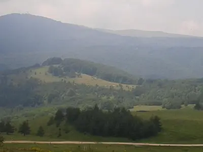 a view of a mountain with trees and a road at Hotel Rai in Koprivshtitsa