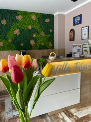 a vase filled with colorful flowers sitting on a table at Villa Pino in Velingrad