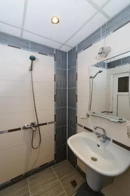 a bathroom with a shower and a sink at Orchideia Studios in Sandanski