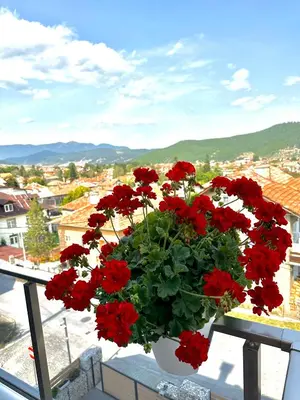 a pot of red flowers sitting on a window sill at Студио с вана и гледка в 