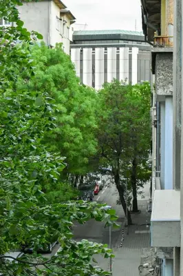 a view of a street with trees and a building at Roza Home in Sofia