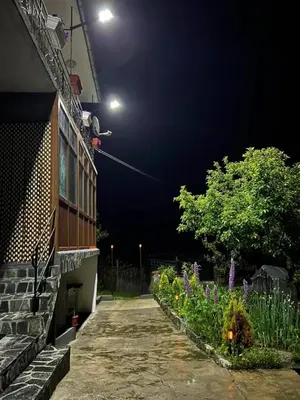 a building with a street light above a garden at night at Къща за гости 