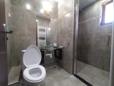 a bathroom with a toilet and a shower at Вила Магдалена, к-с Александриа in Dobrinishte