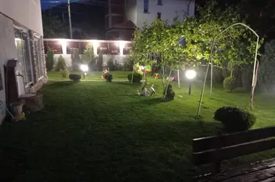 a group of ducks sitting in the grass at night at Семейна къща Лазарови in Sapareva Banya
