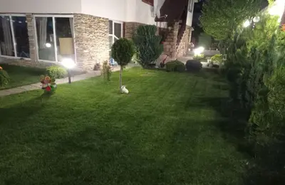 a yard at night with a small tree in the grass at Семейна къща Лазарови in Sapareva Banya