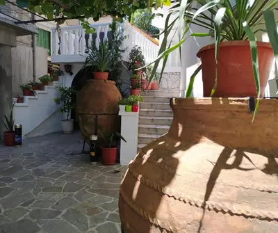 a group of potted plants sitting on a stair case at Каламанди in Asenovgrad