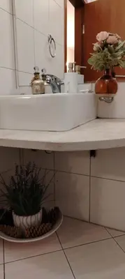 a bathroom counter with a sink and a potted plant at GONDOLAs LODGE in Bansko
