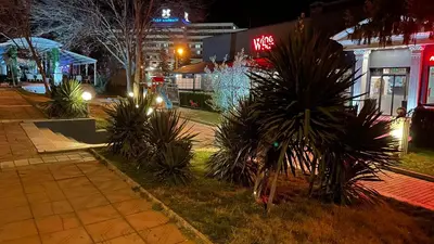 a city street at night with palm trees and lights at Thea Apart in Sandanski