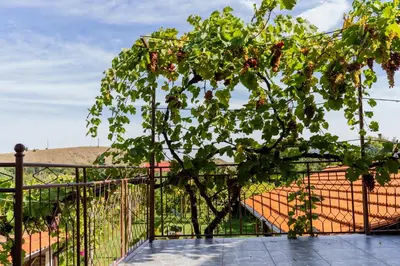 a tree in front of a fence at Къща Лиляна in Resilovo
