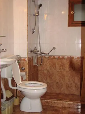 a bathroom with a toilet and a shower at Янко Кехая in Koprivshtitsa