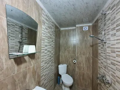 a bathroom with a toilet and a shower with a mirror at Дамяновата къща in Sapareva Banya