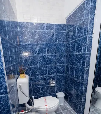 a bathroom with a toilet and a blue tiled wall at Къща за гости Шарон in Petrich