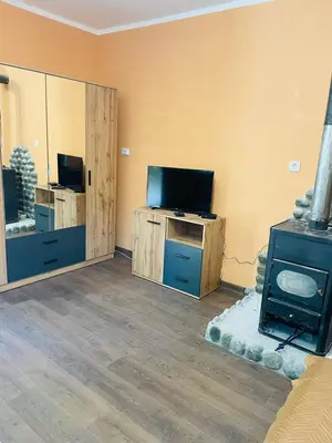 a living room with a tv and a stove at Къща за гости Станеви in Ribarica