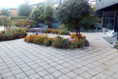 a garden with flowers and a tree in a courtyard at Aspen Heights 4 bed studio in Bansko