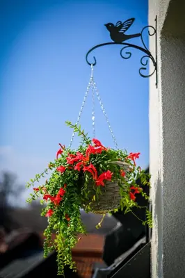 a basket of red flowers hanging from a window at Cloud 6 -Top Center,360° view,Free private parking in Plovdiv
