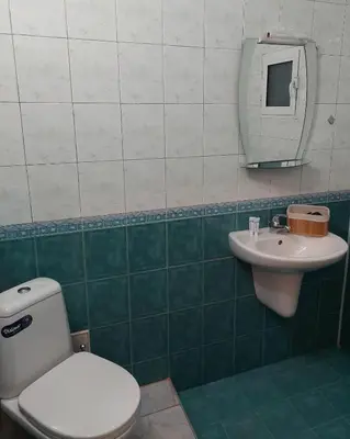 a bathroom with a toilet and a sink at Къща за гости Иглика in Trigrad