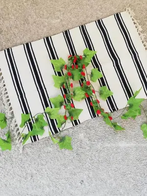 a green plant on top of a striped towel at Дом Бакалски-Кмета in Narechenski Bani