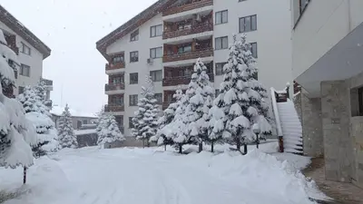 a group of trees covered in snow in front of a building at Apartment Detelina Residence in Bansko