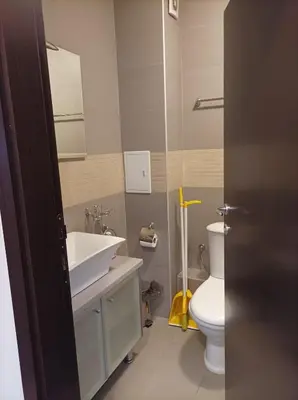 a bathroom with a sink and a toilet at Apartment Detelina Residence in Bansko