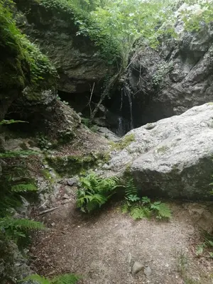 a small waterfall in the middle of a forest at New & Comfortable home in Blagoevgrad center in Blagoevgrad