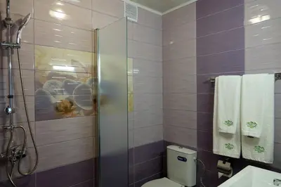 a bathroom with a shower and a toilet and towels at Борник Хил / Bornik Hill in Devin