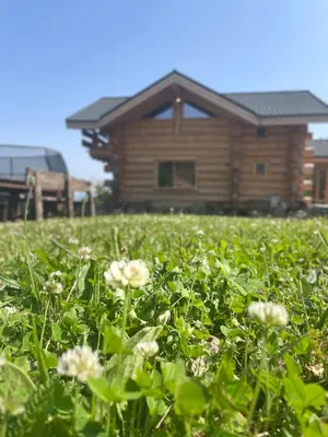 a field of flowers in front of a log cabin at ECO HOUSES ART OF LIVING - Еко къщи изкуството да живееш in Pamporovo