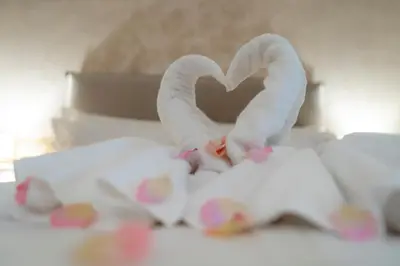two white swans making a heart on a bed at Hotel CITY Petrich in Petrich