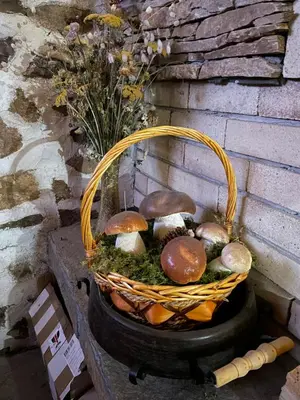 a basket of mushrooms sitting on a table at Музикалната къща in Breze