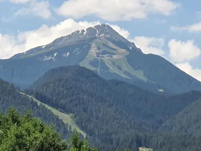 a mountain in the distance with trees in the foreground at Family apartment VYANI in Bansko