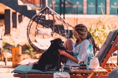 a woman sitting on a bench with a dog at Dakota forest retreat in Tsigov Chark
