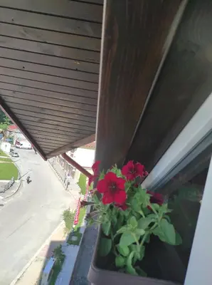 a planter with red flowers on a window sill at IGLIKA 2 SNOWY NIGHT V 31 in Borovets
