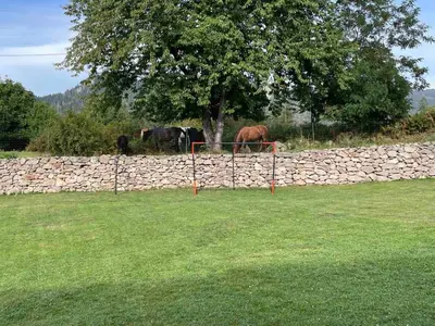 two horses standing in a field near a stone wall at Cassiopea Villas in Pamporovo