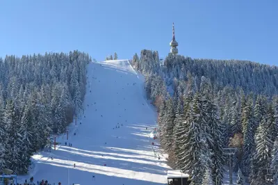 a snow covered slope with people skiing down a mountain at Christina Apartment in Laplandia in Pamporovo