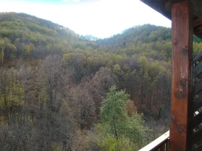a view of a forest from a cabin at Family Hotel and Restaurant Plamena in Oreshak