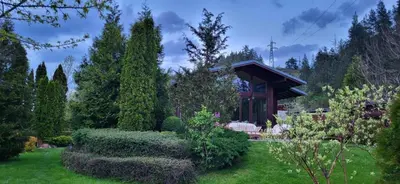 a house in a garden with bushes and trees at Kameno in Banya