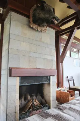 a fireplace with a rat laying on top of it at Kameno in Banya