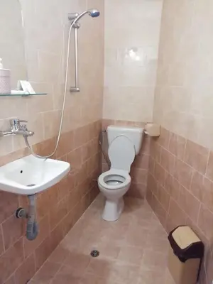 a bathroom with a toilet and a sink at ХАН КОСТИНА - HAN KOSTINA in Ribarica